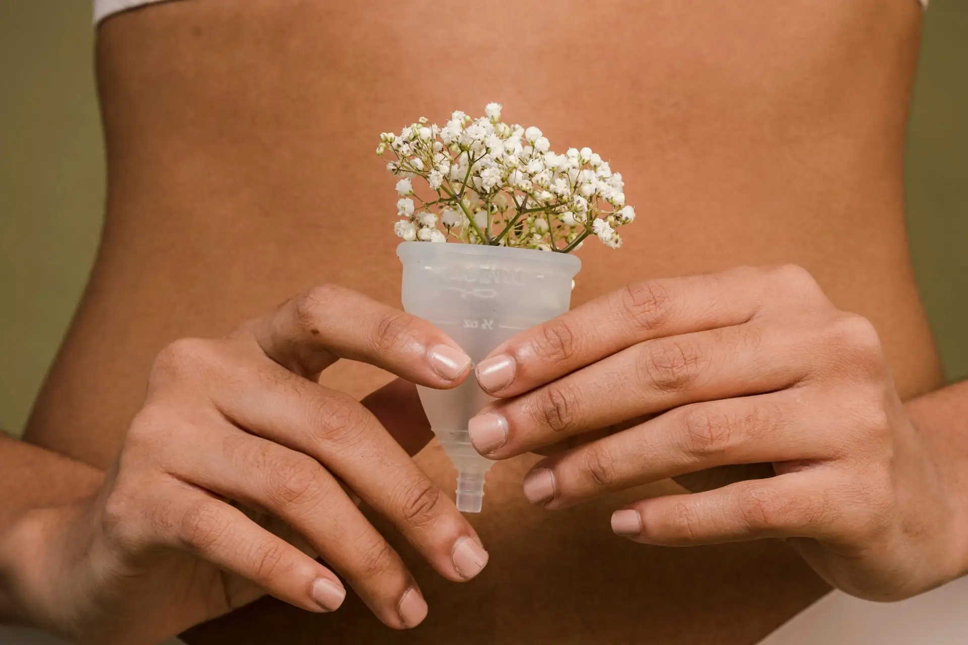 Les meilleures plantes pour un système digestif sain : Des solutions naturelles pour votre bien-être quotidien